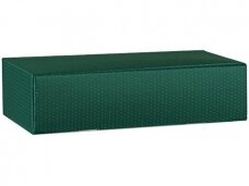 Dėžutė Žalia matinė Cantinetta 2 but. 340x185x90