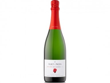 Putojantis vynas Petit Albet Reserva Brut Penedes D.O. 0,75 l
