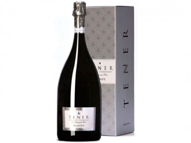Putojantis vynas Tener Vino Spumante Brut Magnum dėž. 1,5 l