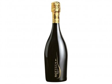 Putojantis vynas Bottega Millesimato Spumante Brut 0,75 l Putojantis vynas Bottega Millesimato Spumante Brut 0,75 l