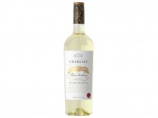 Vynas Casa Charlize Pinot Grigio Siciliane I.G.T. 0,75 l