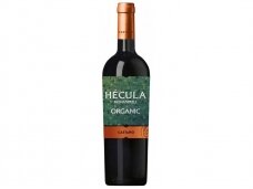 Vynas Castano Organic Hecula Yecla D.O. 0,75 l