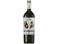 Vynas Castano Organic Red Barrica Yecla D.O. 0,75 l