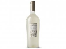 Vynas Ulisse Premium Pinot Grigio I.G.P. 0,75 l