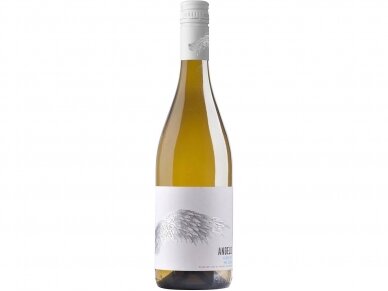 Vynas Angelo Grillo 0,75 l Vynas Angelo Grillo 0,75 l